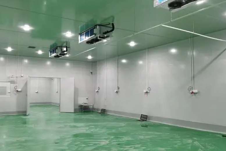 建造500噸冷庫要多少錢費用