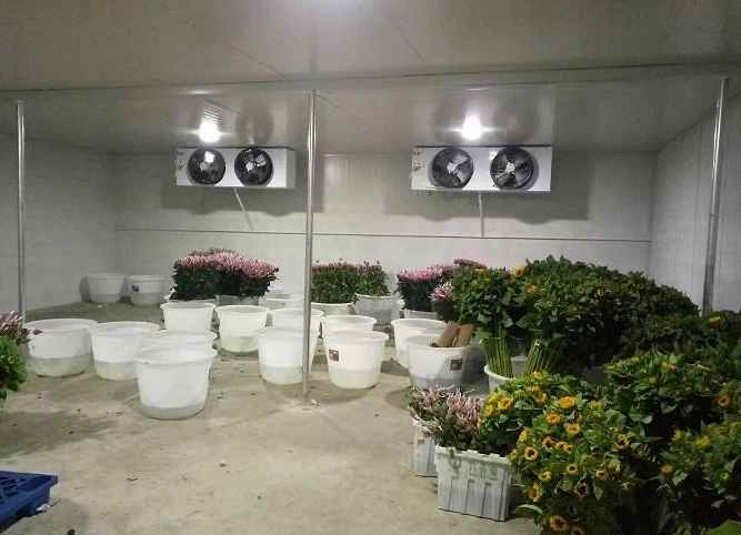 建造一個冷庫需要哪些設備和材料