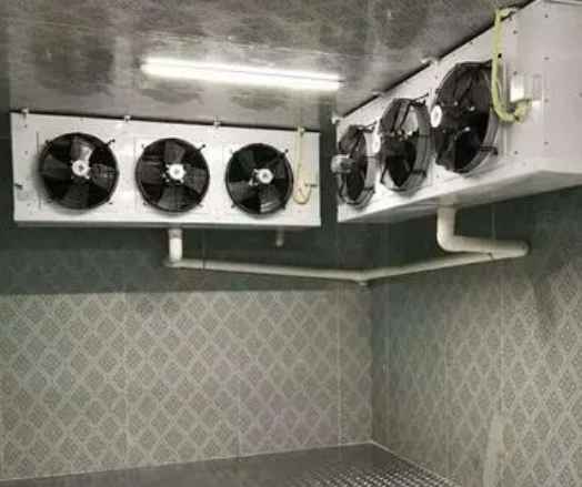 建設農業產品冷庫多少錢