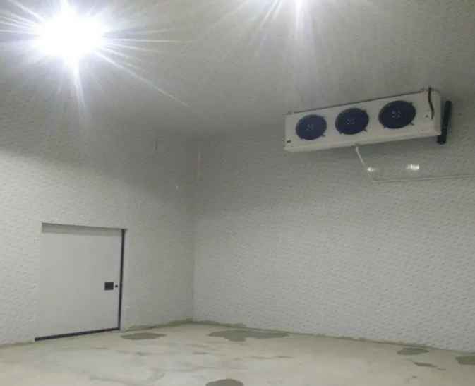 如何建造用于儲存蘋果的冷庫？