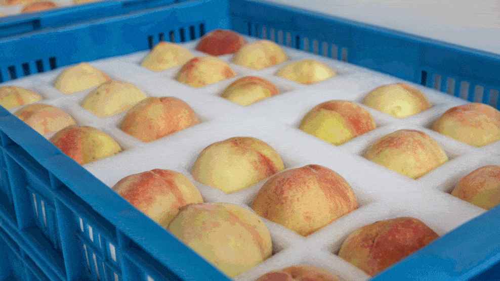 桃子冷庫(kù)的建造費(fèi)用是多少錢(qián)
